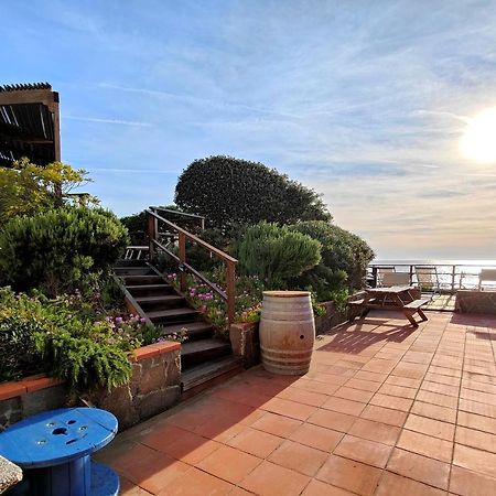Le Dune Sea View Apartments - Futura Cav San Vincenzo Eksteriør bilde